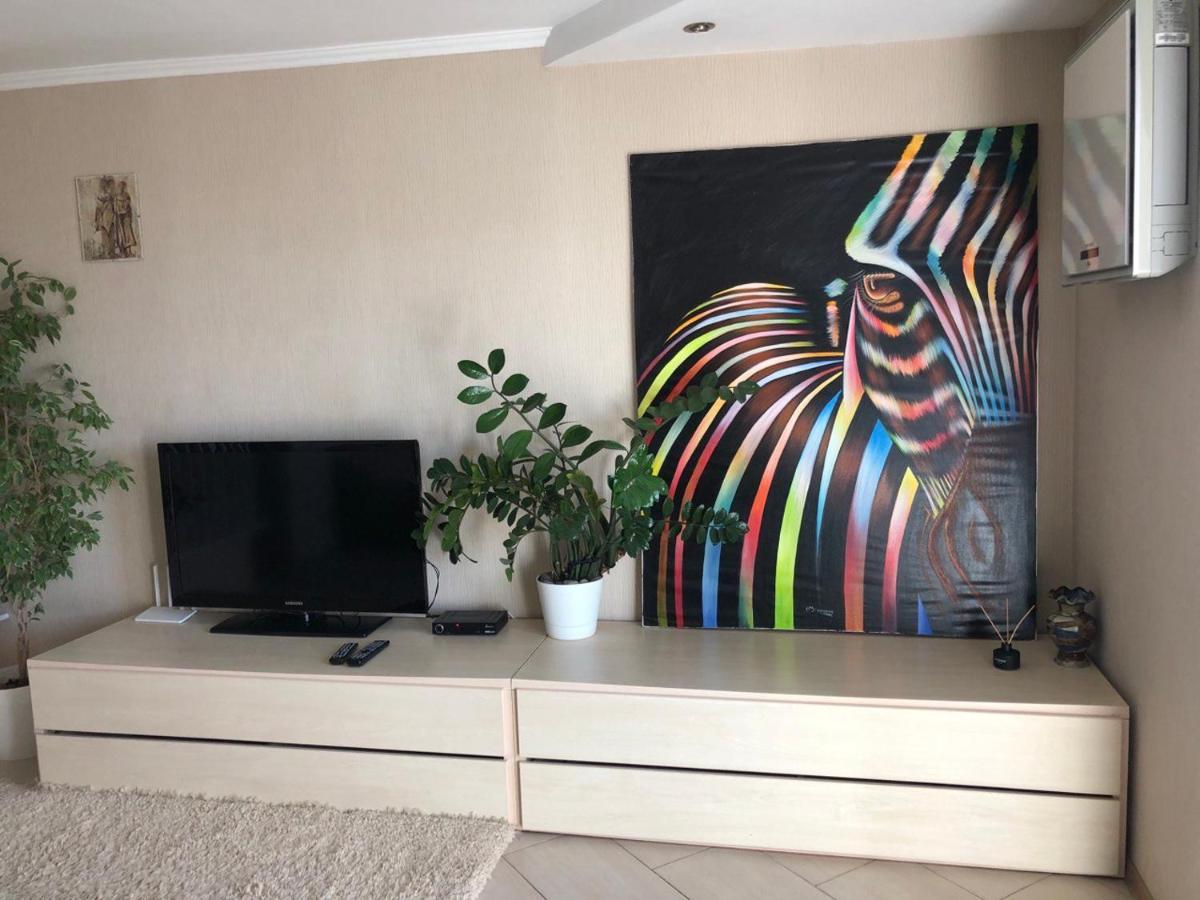 Apartment Cozy And Comfortable *